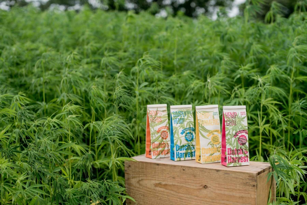 Hemp & Turmeric - Konopná a kurkumová čaj 50 g - Dutch Harvest sypaný čaj