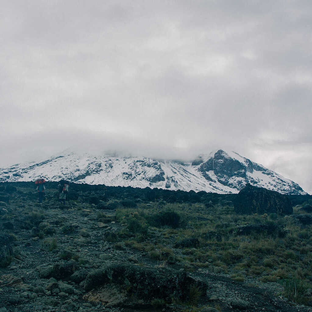 Café du Jour 100% arabika Tanzanie