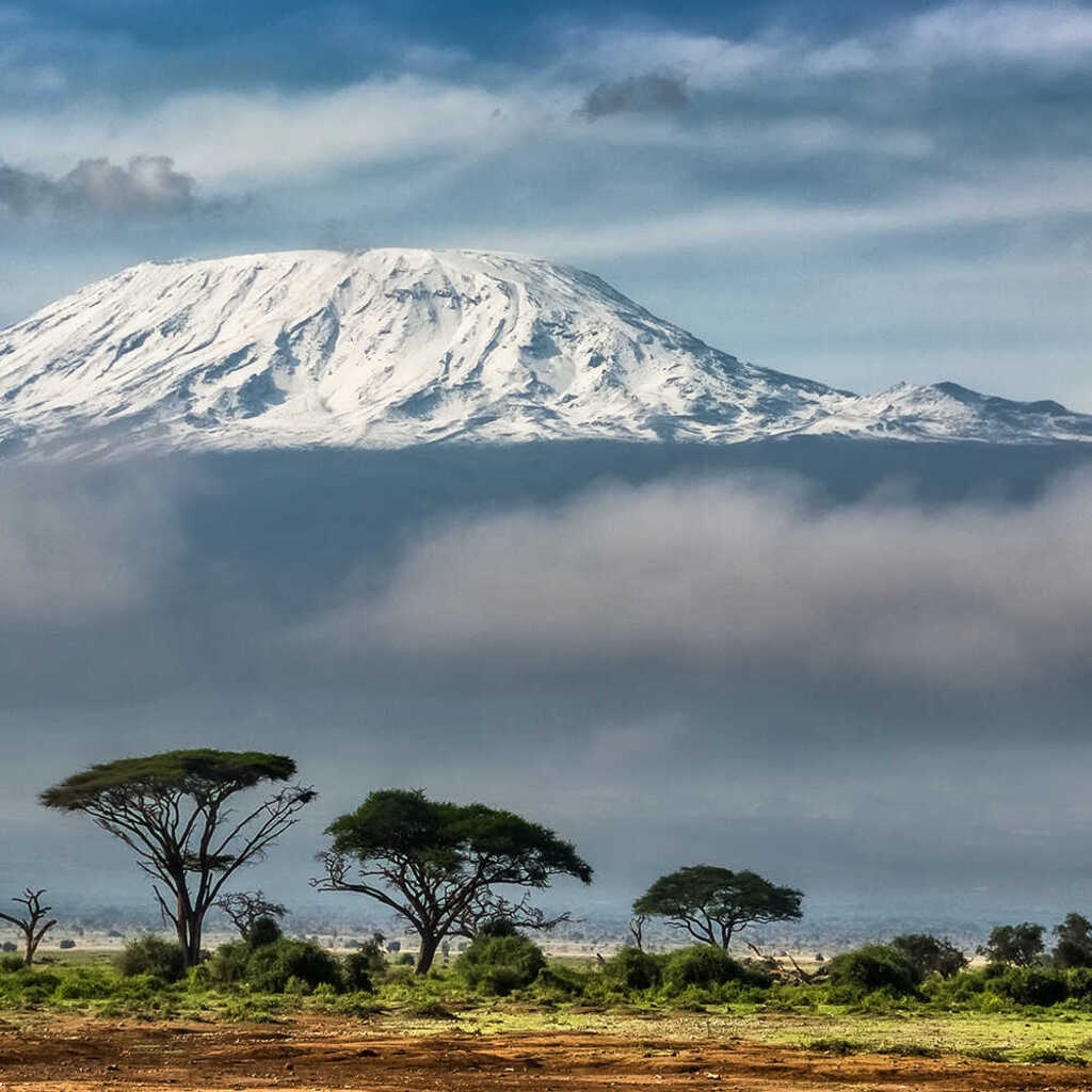 Café du Jour 100% arabika Tanzanie