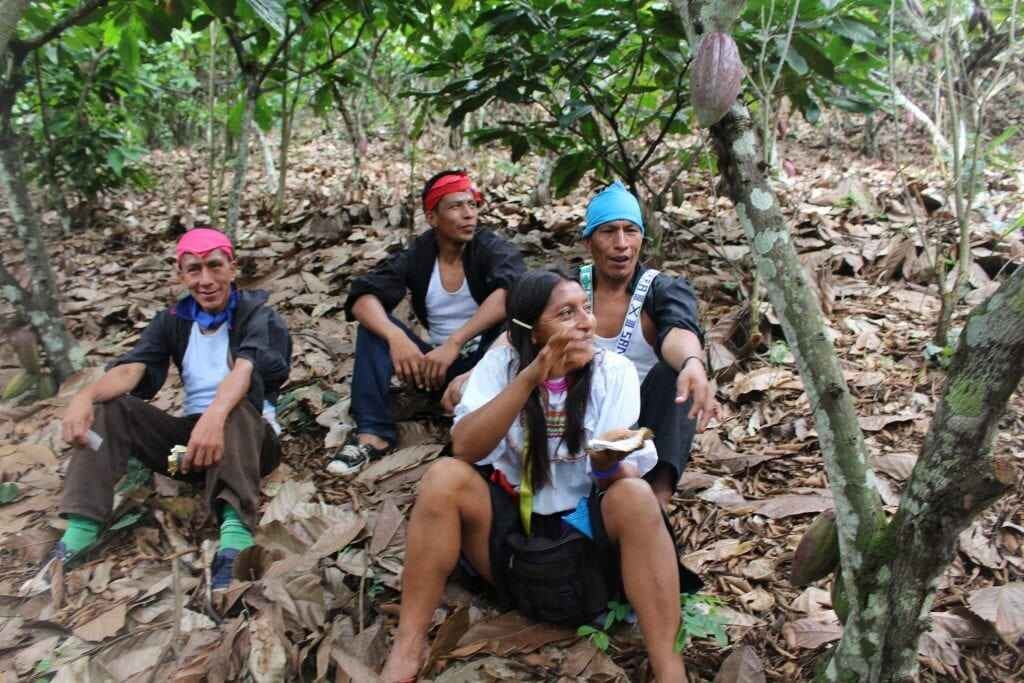 Millésime - Peru Speculoos - 55% mléčná čokoláda