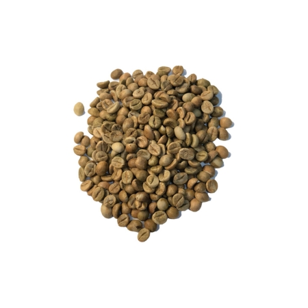 India Robusta Cherry AA Screen 18 - nepražená kávová zrna - 1 kg