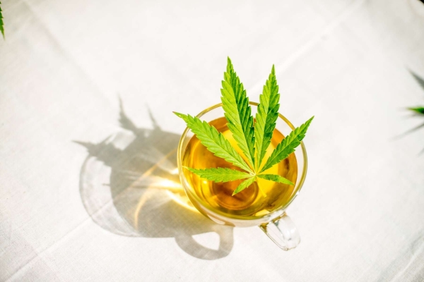 Hemp Chai - Konopný Chai čaj 50 gramů - Dutch Harvest sypaný čaj